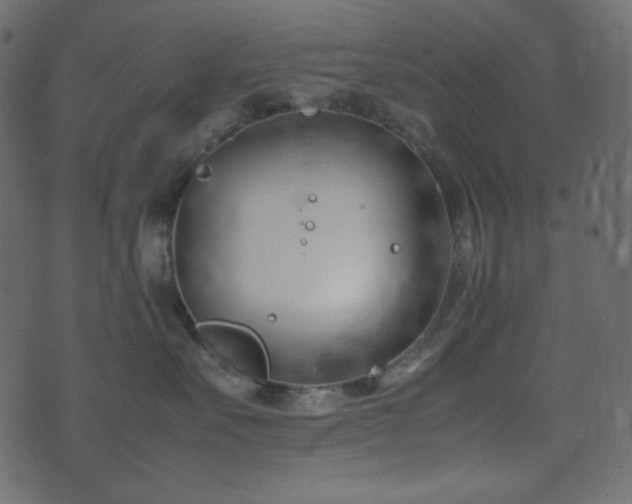 X0000074310527200608251239