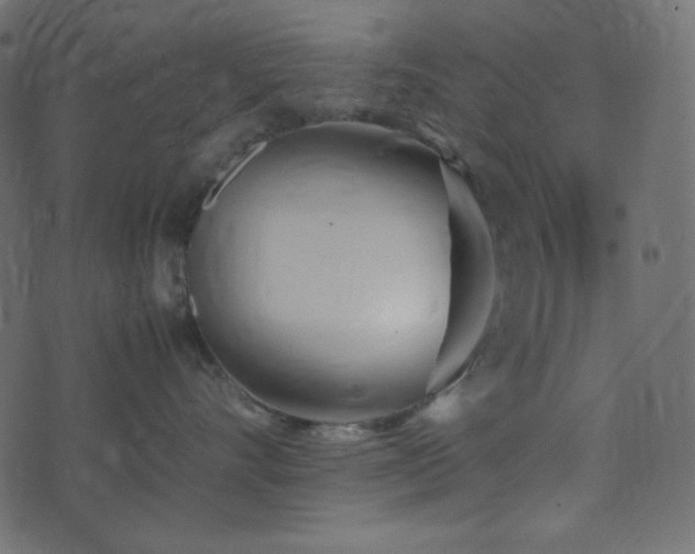 X0000074310528200608251239