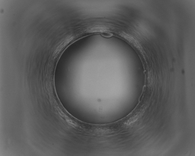 X0000074310529200608251238