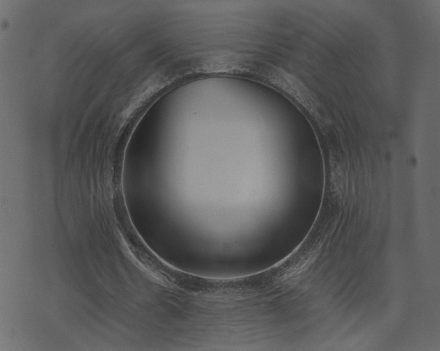 X0000074310530200608251238