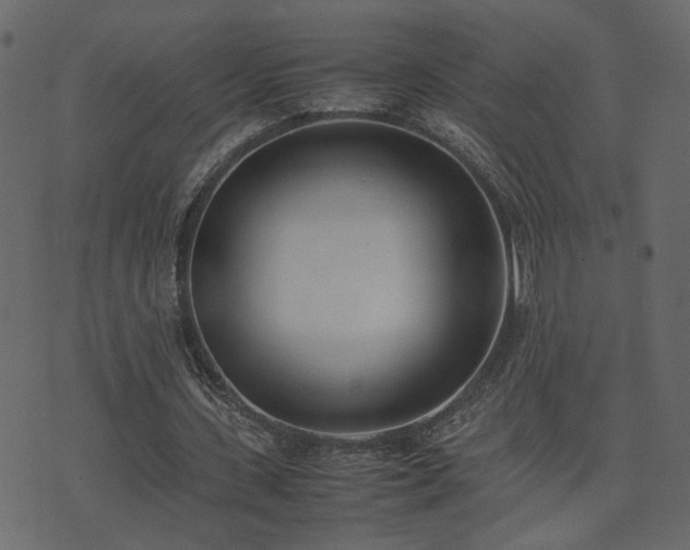 X0000074310531200608251238