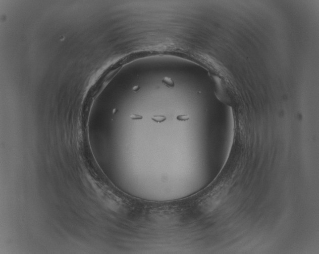 X0000074310532200608251238