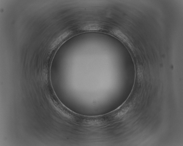 X0000074310533200608251238