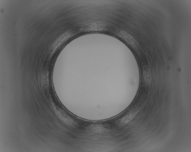 X0000074310534200608251238