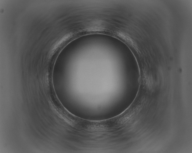 X0000074310535200608251238