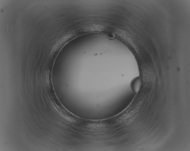 X0000074310537200608251238