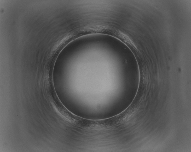 X0000074310538200608251238