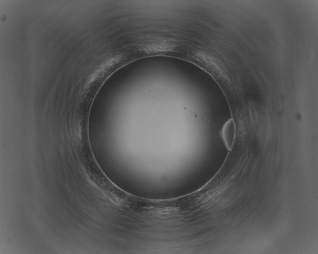 X0000074310539200608251238