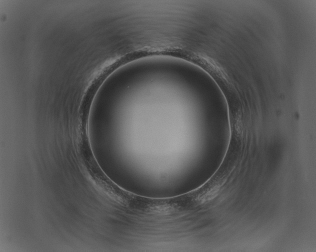 X0000074310540200608251238