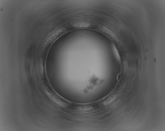 X0000074310541200608251238