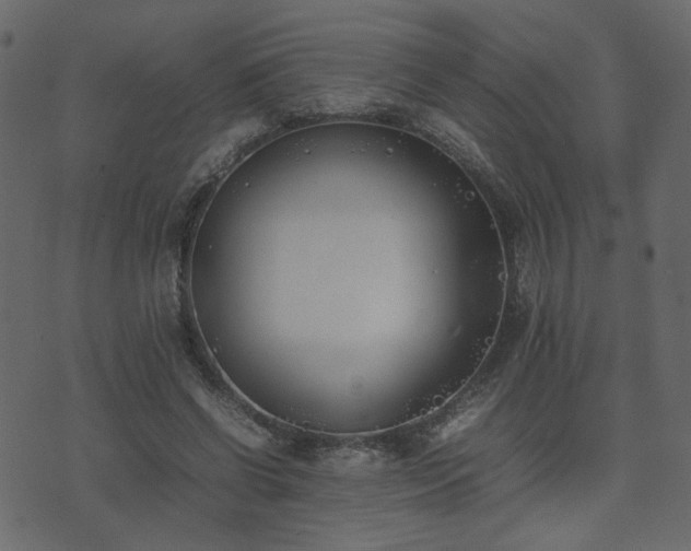 X0000074310542200608251238