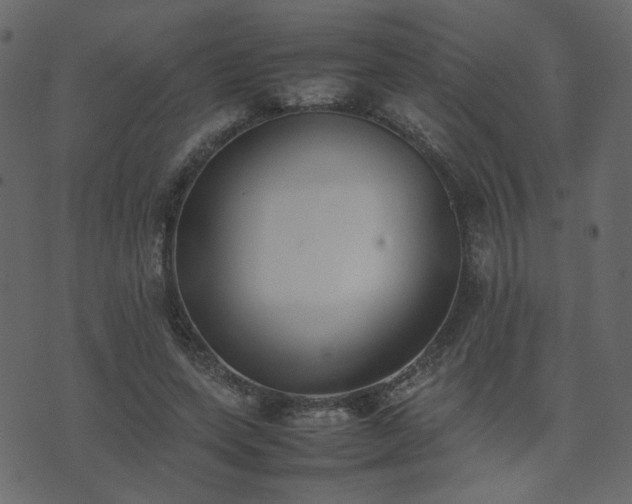 X0000074310543200608251238