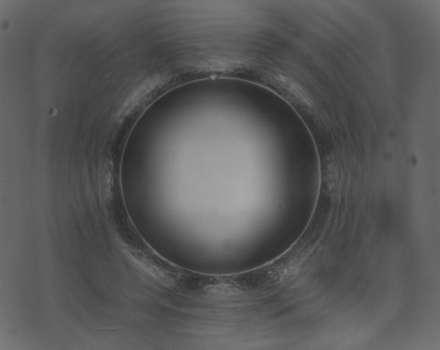 X0000074310544200608251238