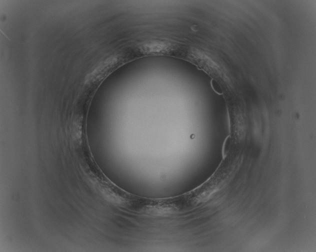 X0000074310545200608251238