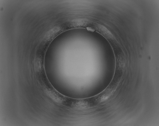 X0000074310546200608251238