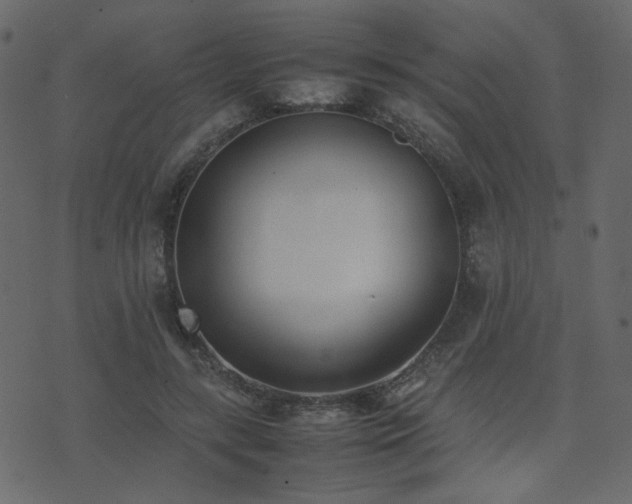 X0000074310547200608251238