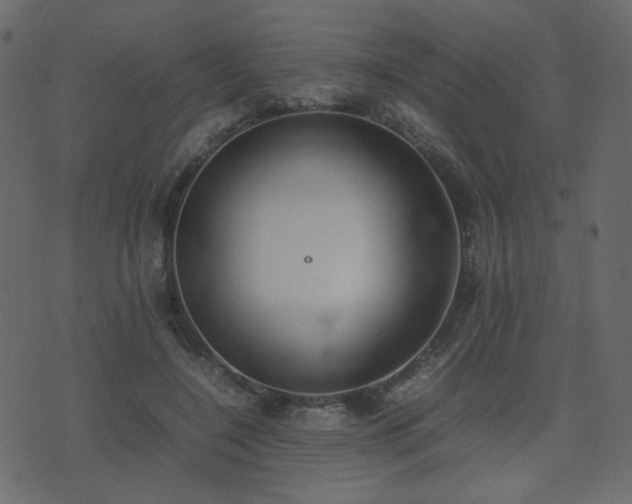 X0000074310548200608251238