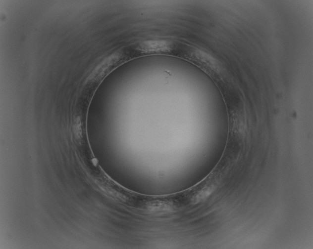 X0000074310549200608251238