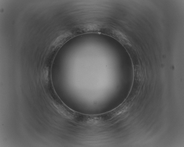 X0000074310550200608251238