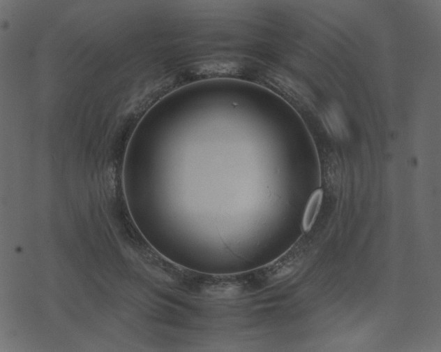 X0000074310551200608251238