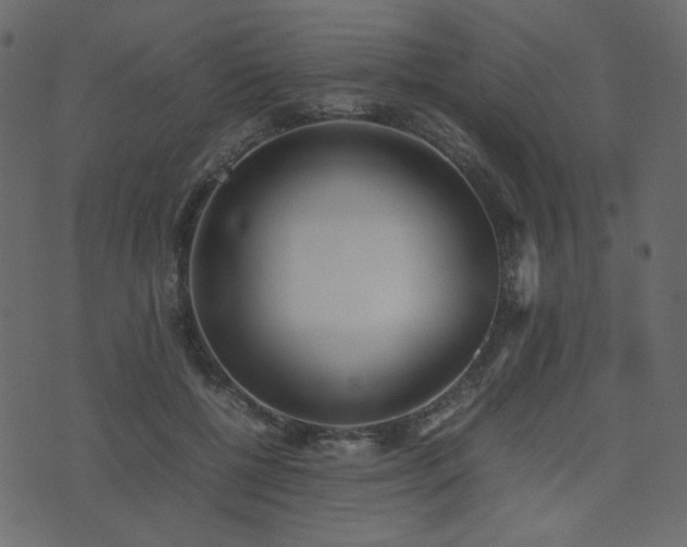 X0000074310552200608251238