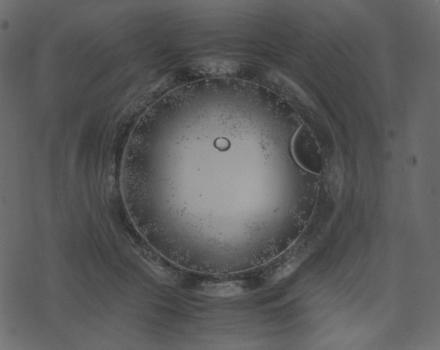 X0000074310553200608251238