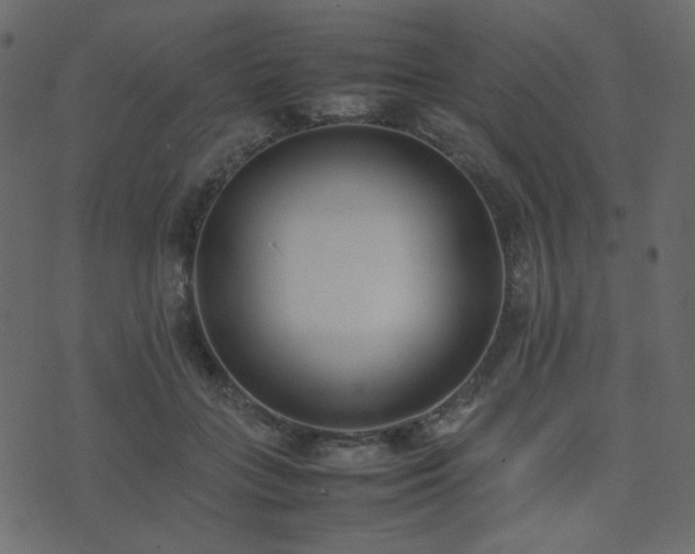 X0000074310555200608251238