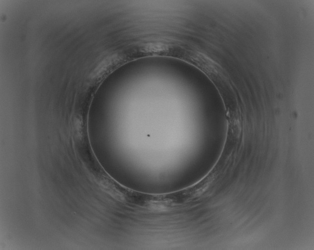 X0000074310556200608251238