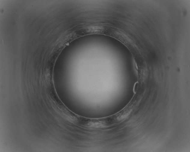 X0000074310557200608251238