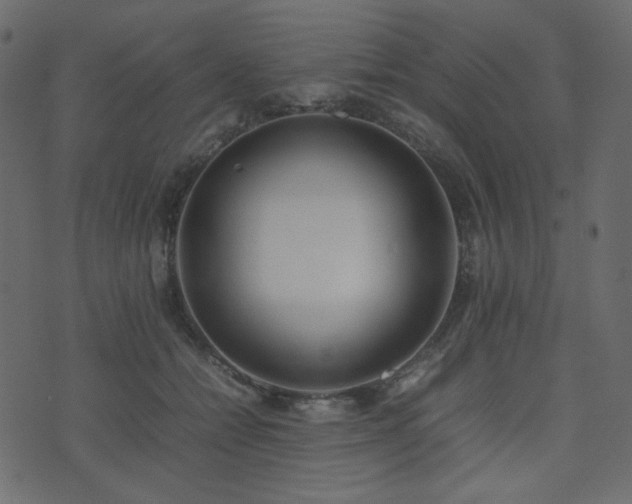 X0000074310558200608251238