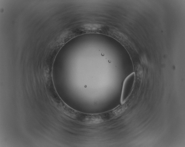 X0000074310559200608251238