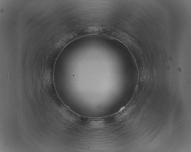 X0000074310560200608251238