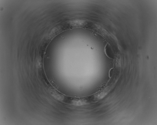 X0000074310561200608251238