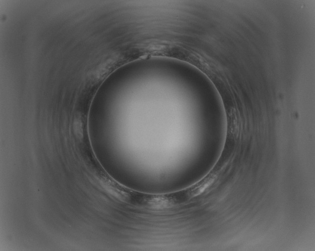 X0000074310562200608251238