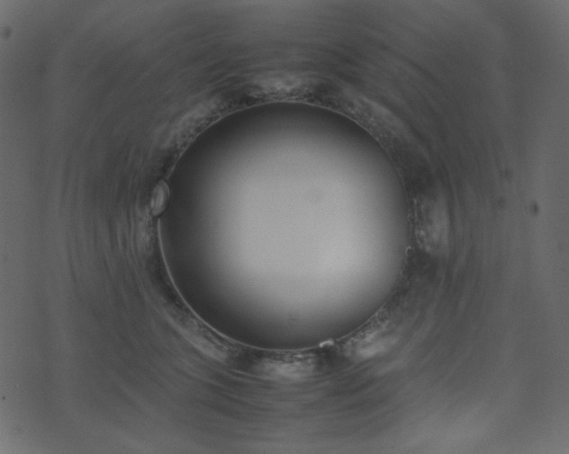 X0000074310563200608251238