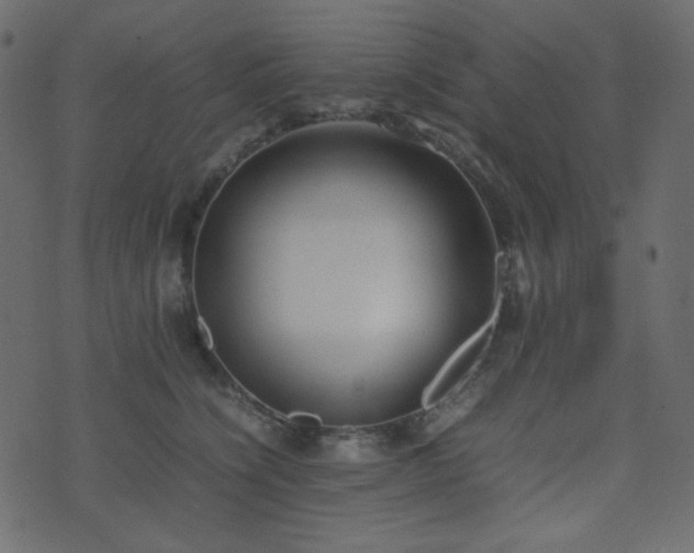 X0000074310564200608251238