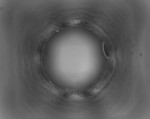 X0000074310565200608251238