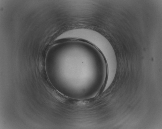 X0000074310566200608251238