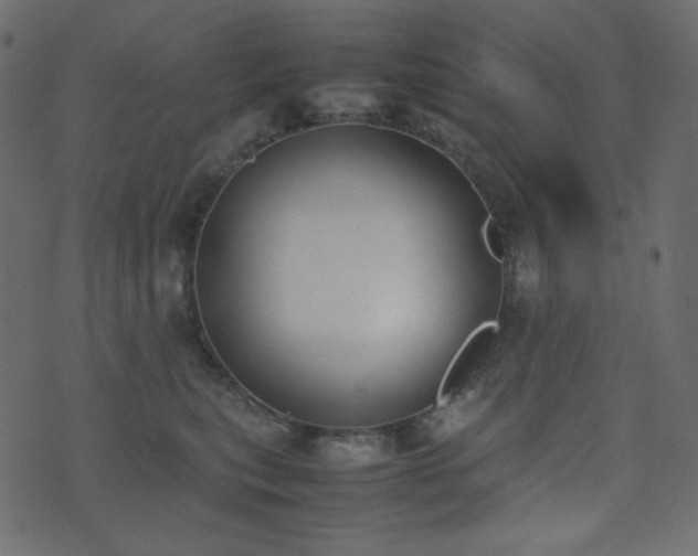 X0000074310567200608251238