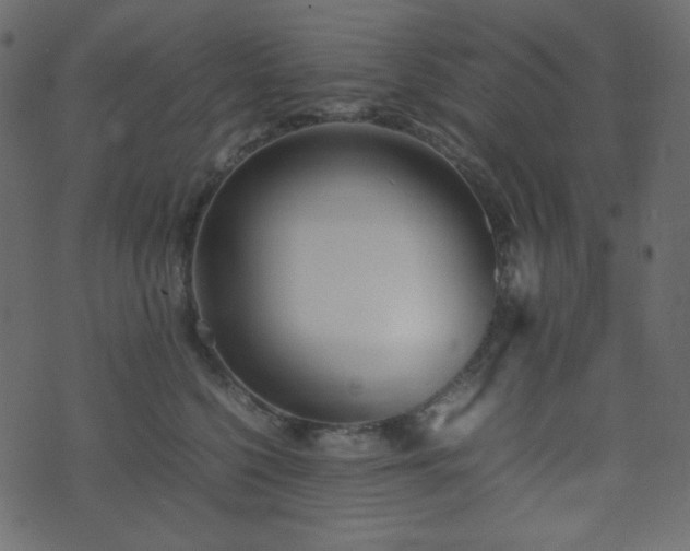 X0000074310568200608251238