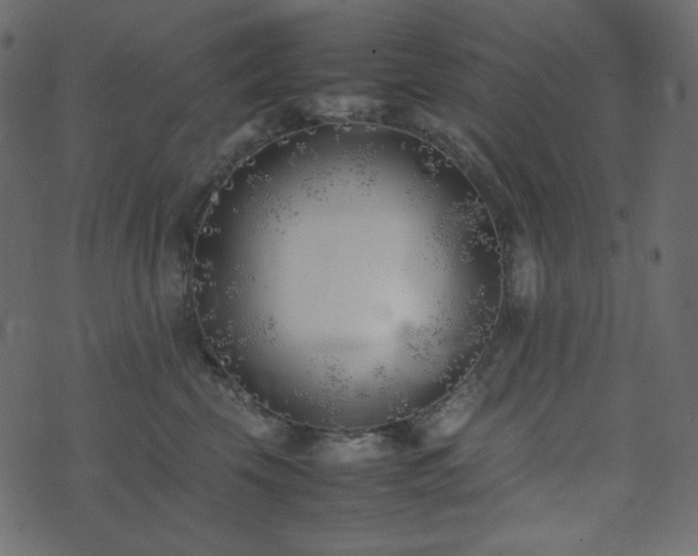 X0000074310569200608251238