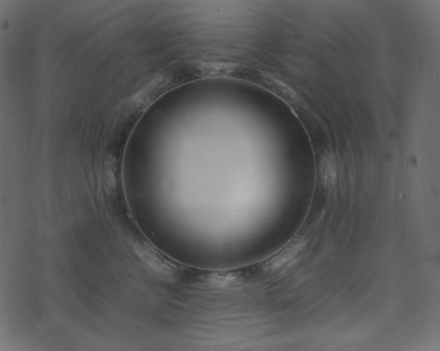 X0000074310570200608251238