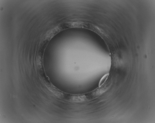 X0000074310571200608251238