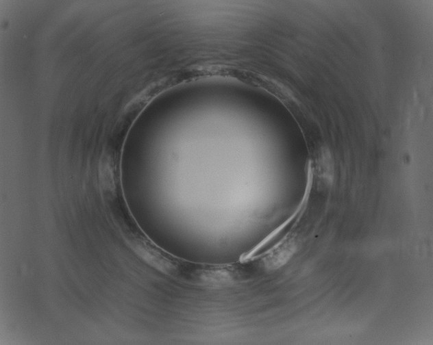 X0000074310572200608251239