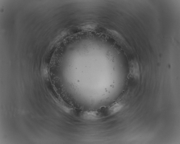 X0000074310573200608251239