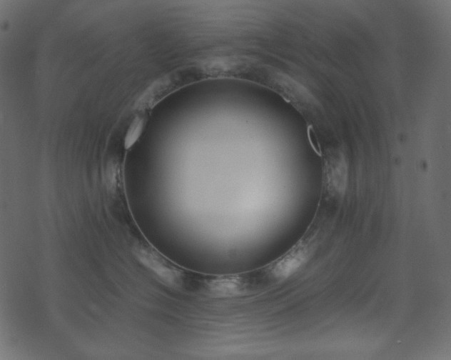 X0000074310574200608251239