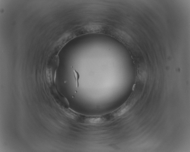 X0000074310575200608251239