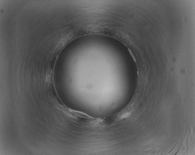 X0000074310576200608251239