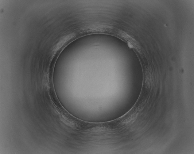 X0000074310578200608251238