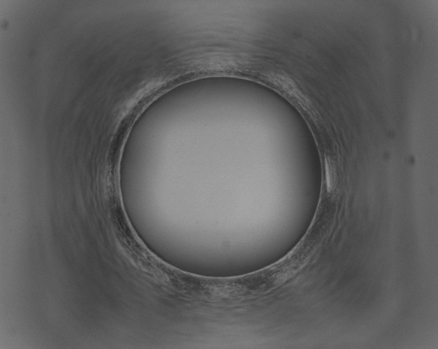 X0000074310579200608251238